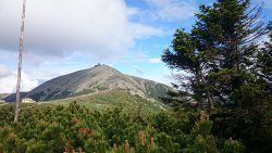 KRAKONOšOVA K55, 2015