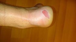 PRAHA - PRčICE - 2016