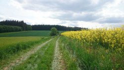 PRAHA - PRčICE - 2016