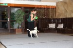 WORKING SEMINAT PALSTAT S.R.O.