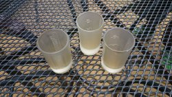 KRAKONOšOVA K55, 2015