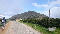 KRAKONOšOVA K55, 2015