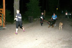 FOREST NIGHT RUN 16KM