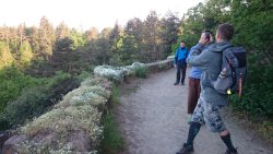 PRAHA - PRčICE - 2016