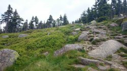 KRAKONOšOVA K55, 2015